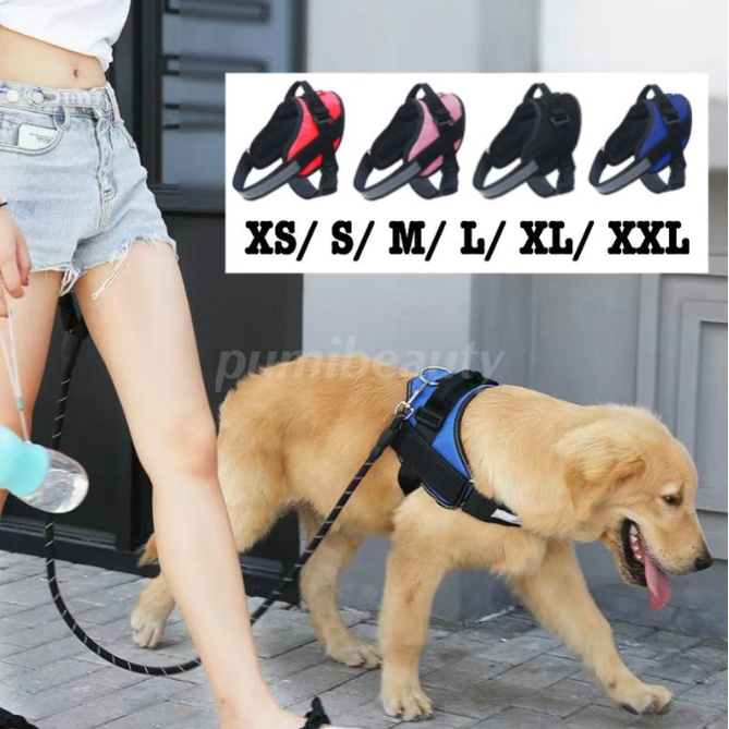 HARNESS ANJING TALI ANJING HARNESS ANJING BESAR MEDIUM TALI TUNTUN ANJING ROMPI ANJING TALI HARNESS