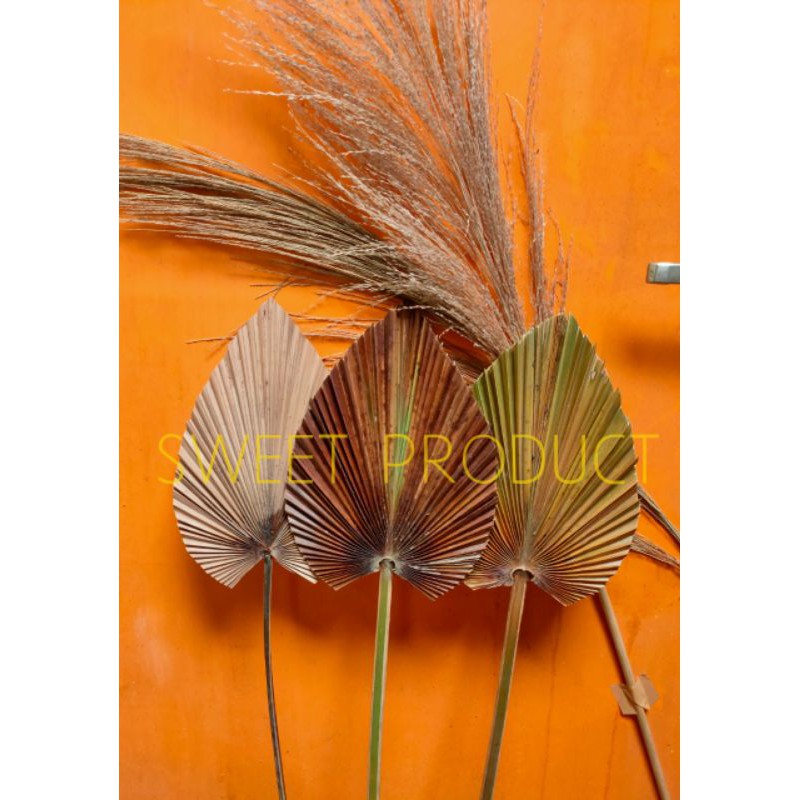 DAUN PALEM MINI MURAH PALING KECIL COCOK BUAT BUCKET | bunga dekorasi | bunga hiasan