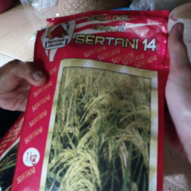 Benih Padi Unggul Bibit Sertani 14