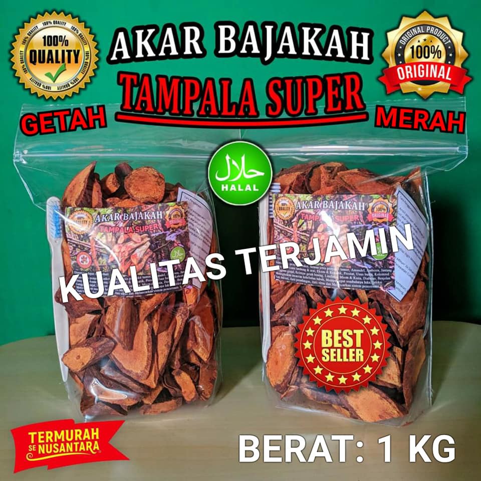 

Akar Bajakah Tampala Super Getah Merah Asli Kalimantan 1kg Termurah