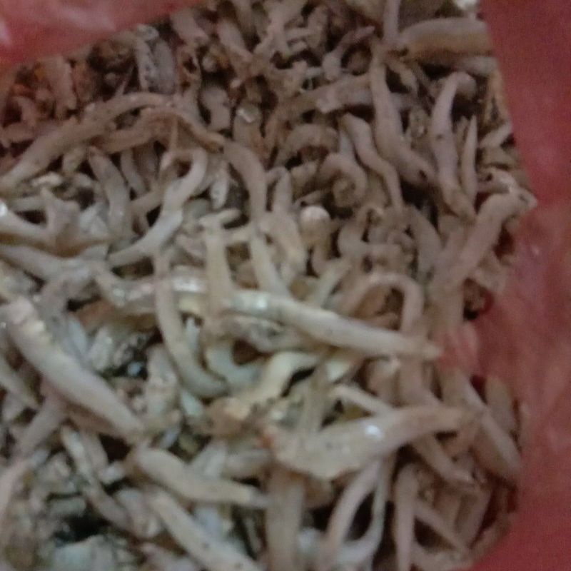 

ikan teri nasi