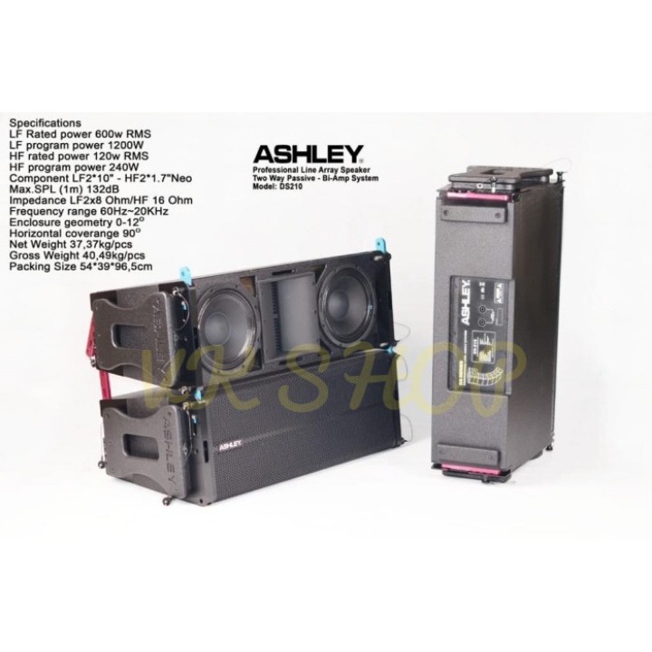 Speaker LINE ARRAY ASHLEY DS210 / DS 210 10inch Two Way Passive (Ori)