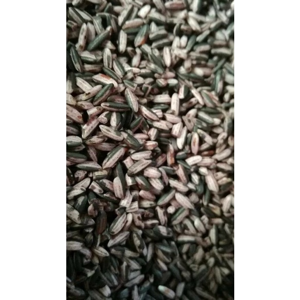 

540ffiepp Beras Ketan Hitam Sosoh Per 1 Kg 244Q40112