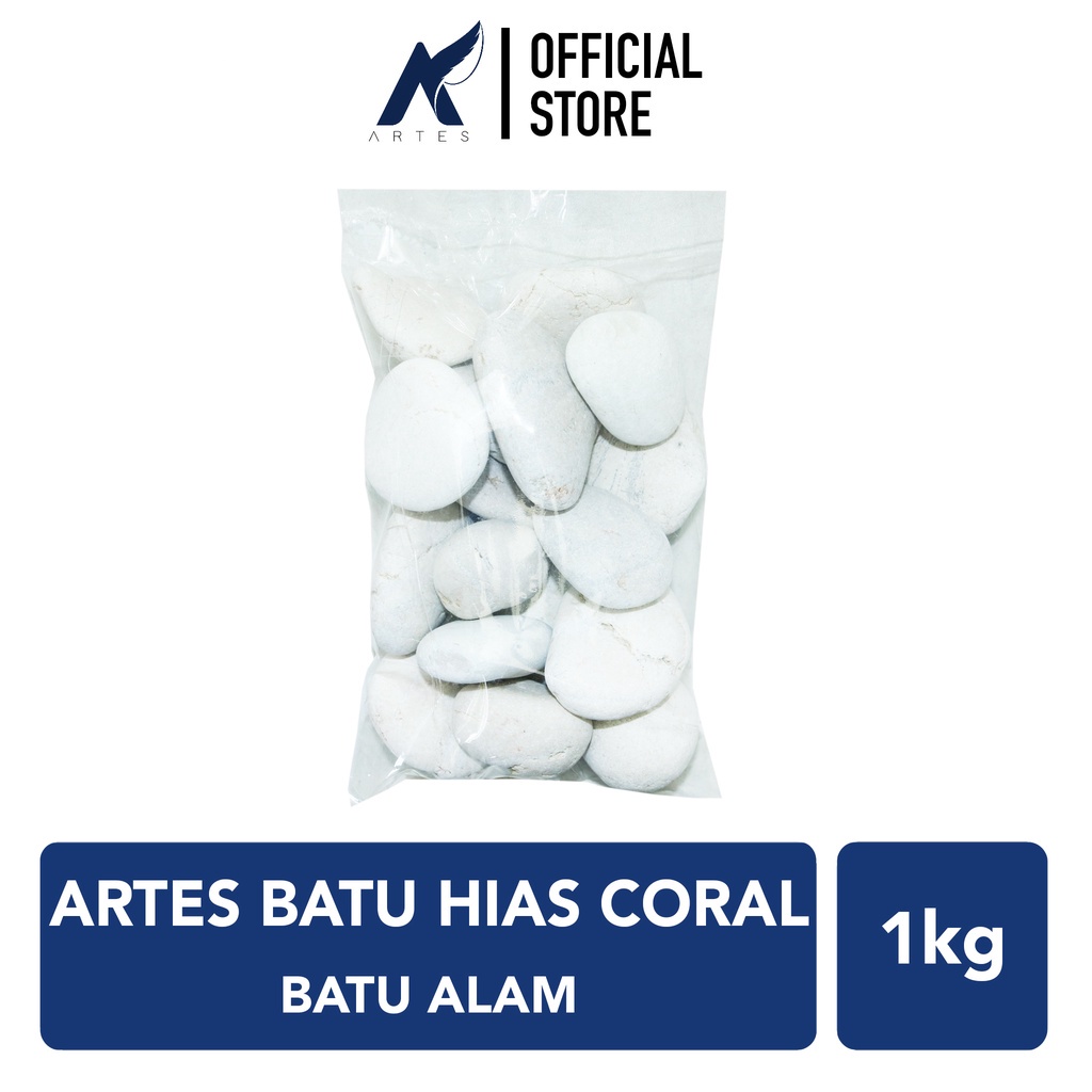 ARTES BATU HIAS ALAM CORAL BESAR Koral Kupang Tanaman-Tumbuhan Hias-Pot-Vas-Aquarium-Akuarium-Aquasc