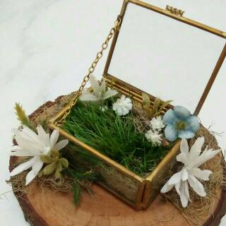 FREE Rumput Terrarium Ring Box Tempat Cincin Lamaran Pernikahan Akad Kotak Kaca | Shopee Indonesia