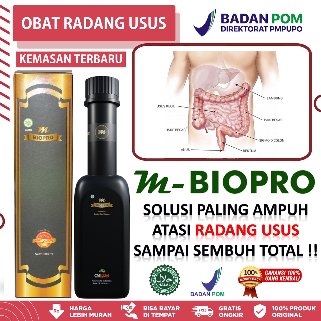 Obat Radang Usus, Usus Buntu, Infeksi Usus, Usus Lengket, Usus Bocor | Mbiopro 100% Asli