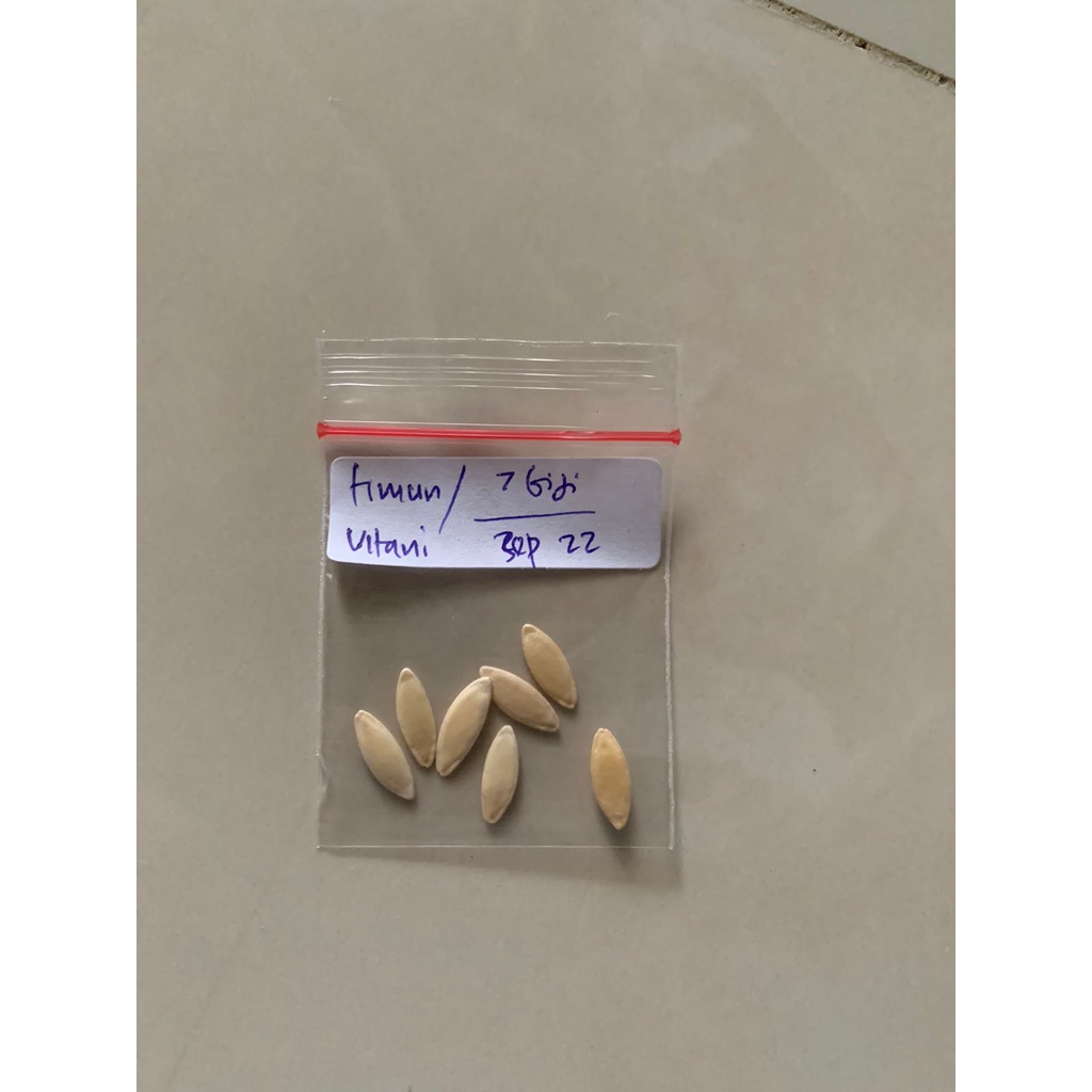 Benih Timun Vitani F1 Cap Panah Merah