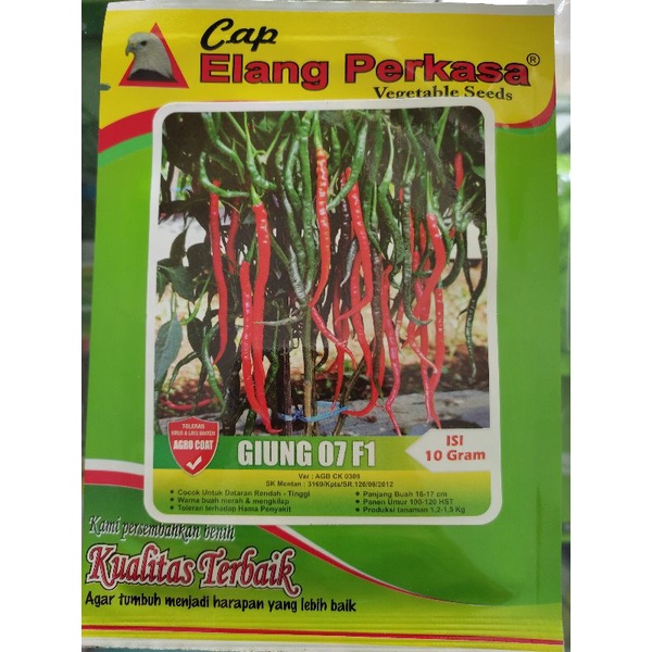 Benih cabai keriting Giung 07 F1 cap elang perkasa