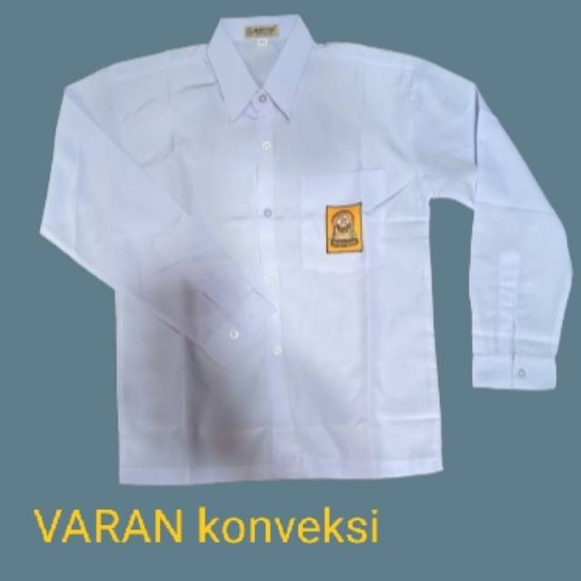 varankonveksi