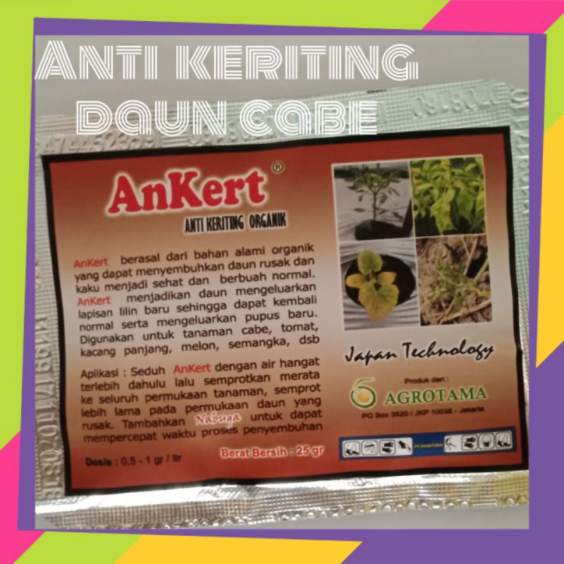 Ankert,Obat keriting cabe,Obat cabe,Cabe keriting