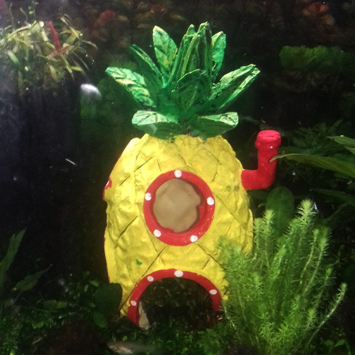 Hiasan Akuarium Dekorasi Akuarium Aquascape Rumah Nanas (Rumah SpongeBob) Kuning & Orange