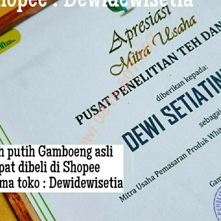 

⚡erbu Kejutan Teh Putih/ White Tea Gamboeng teh diet & kesehatan kemasan refill harga bersaing