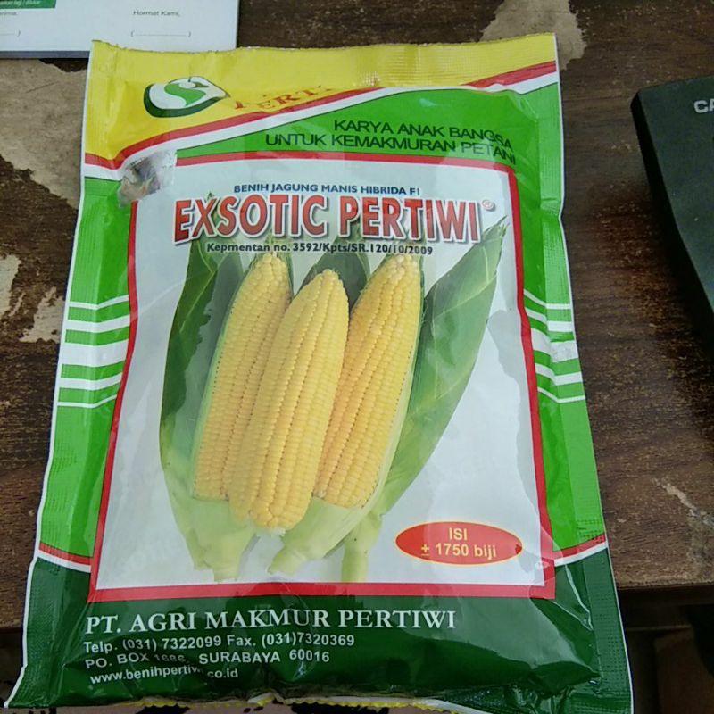 benih jagung manis exotic