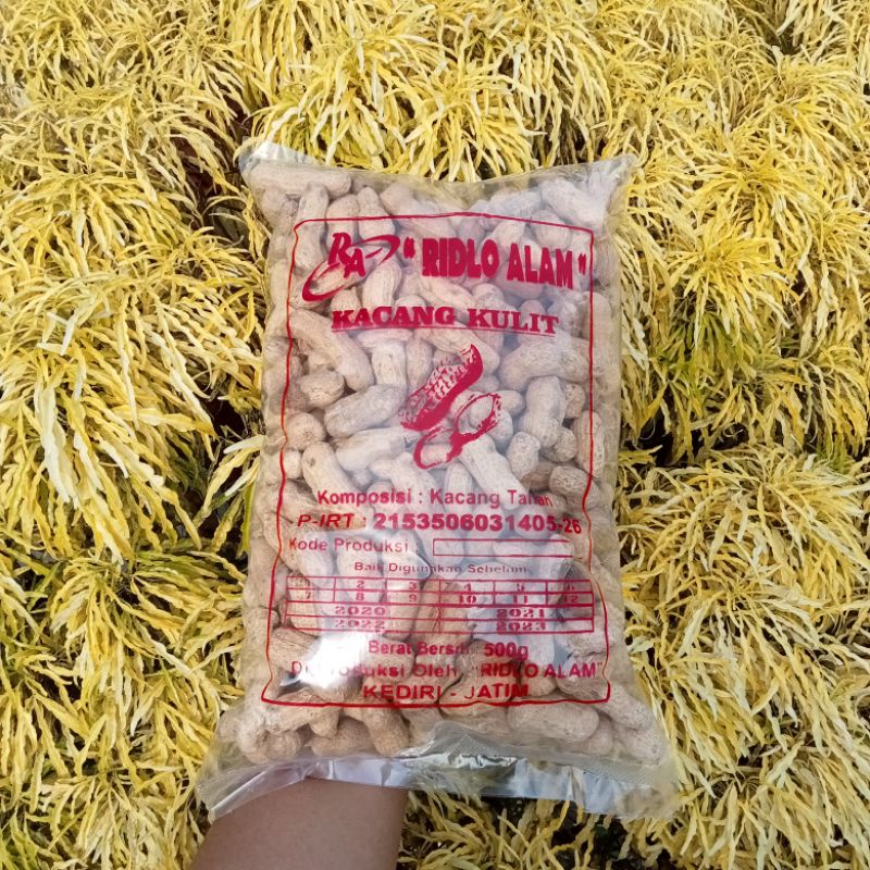 

KACANG KULIT SANGRAI/OVEN GURIH