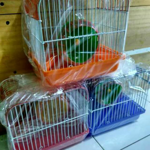 Kandang hamster kecil.