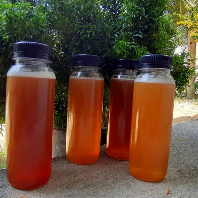 

Madu Kelulut Asli kalimantan