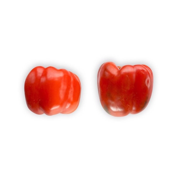 

Paprika Merah Organik 500gr-Jkut
