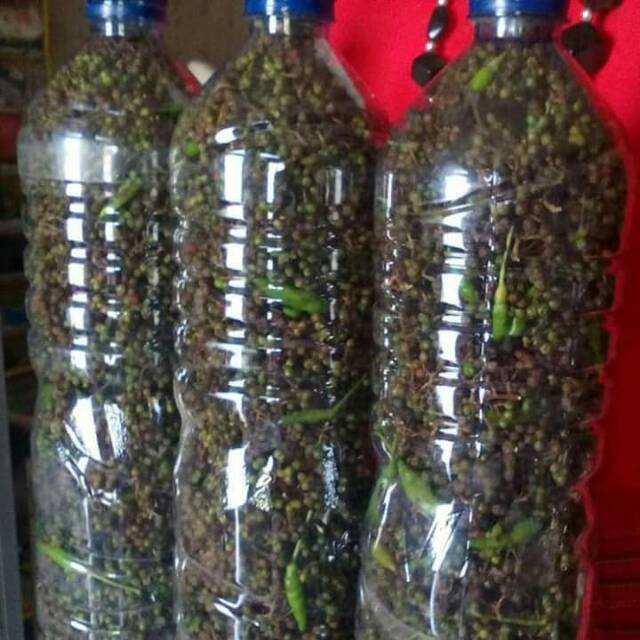 

Andaliman Segar Medan Asli 1000 Gram