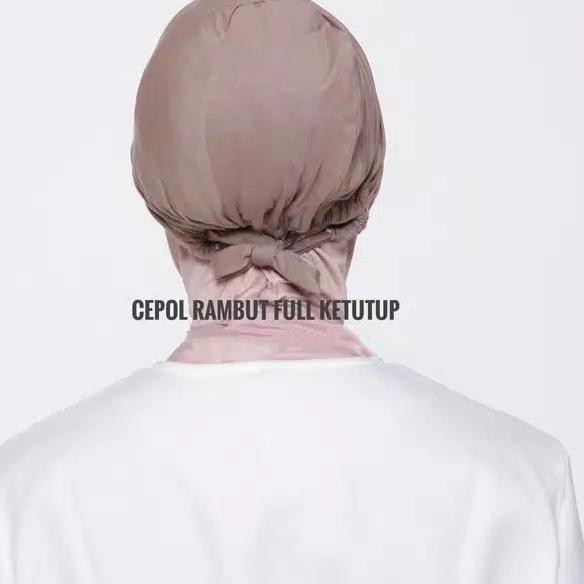 (TERBARU) (1KG MUAT 5PCS) FICUS SETUNIK ORI