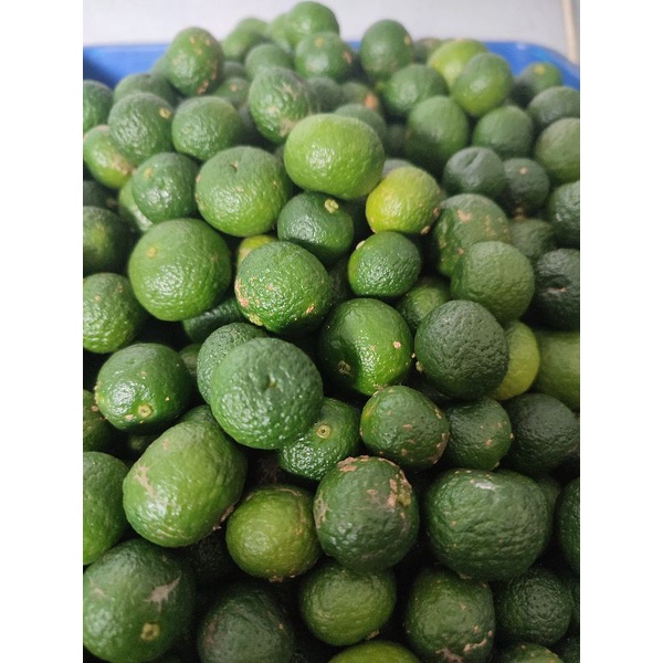 

promo jeruk limau per 10kg bisa request