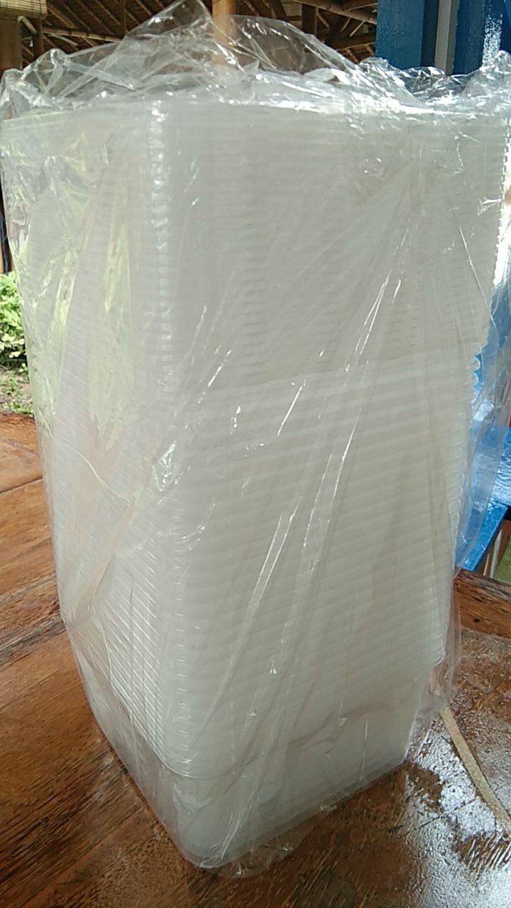 Thinwall Kotak (square) 1500ml/tempat Salad/box Nasi