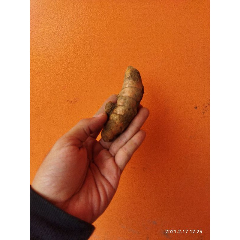 Kunyit Segar 500 gram - Kunir