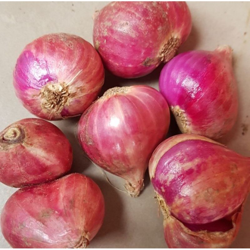 

BAWANG MERAH BREBES UKURAN BESAR BAWANG MERAH ASLI BREBES