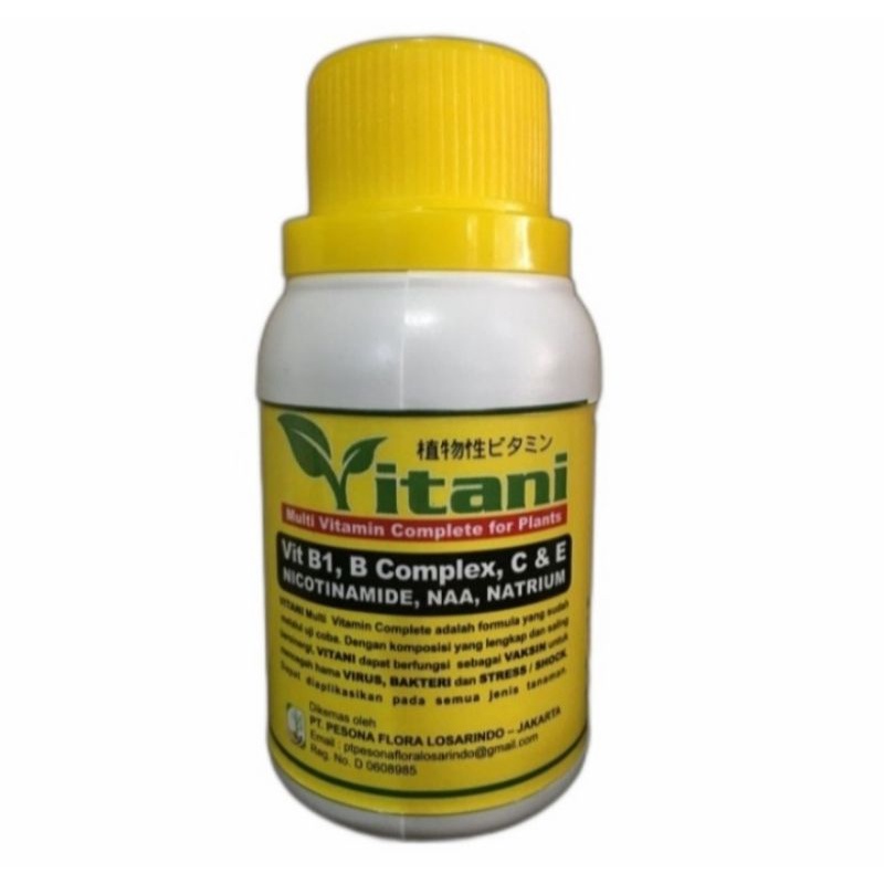 VITAMIN B1 TANAMAN
