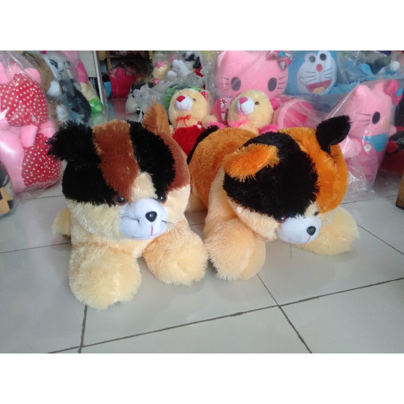 Boneka Kucing Anggora Jumbo [70cm]