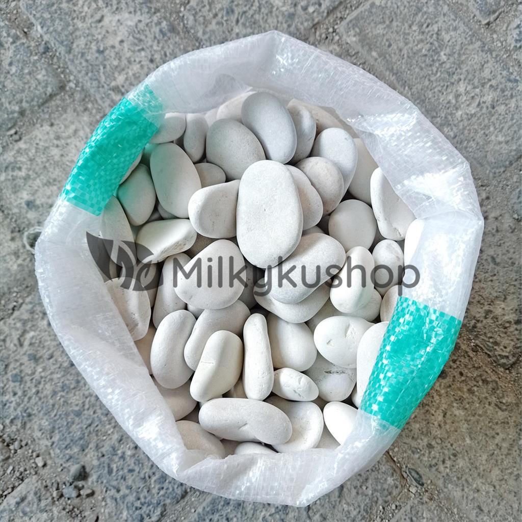 Jual Batu Koral Putih Besar Hiasan Taman Aquascape Via Cargo Shopee Indonesia 