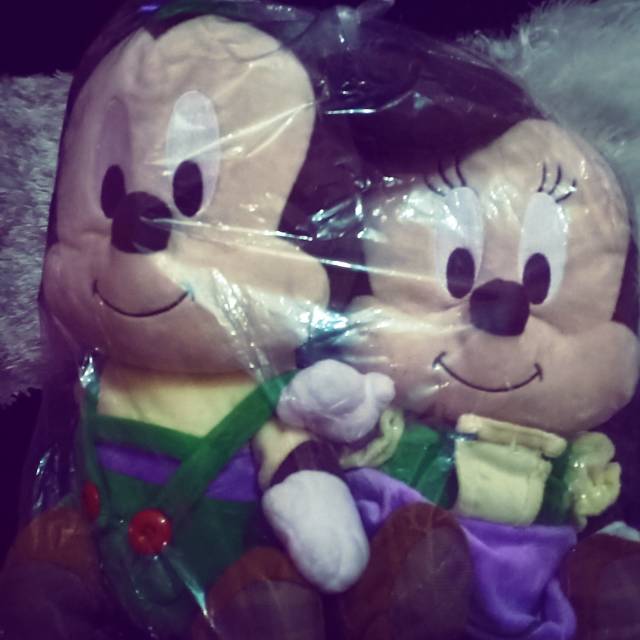 

Micky & Minnie