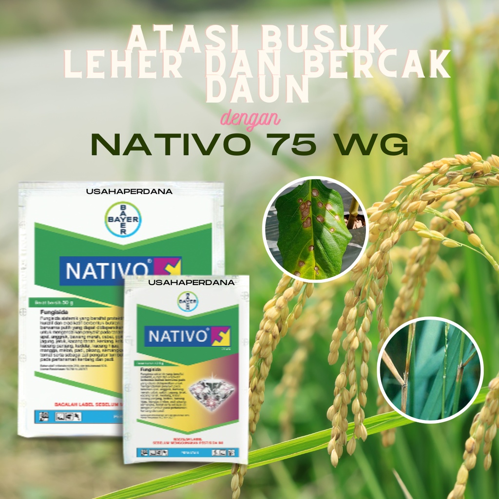 Jual Termurah Fungisida Nativo Wg Gr Obat Racun Hama Tanaman