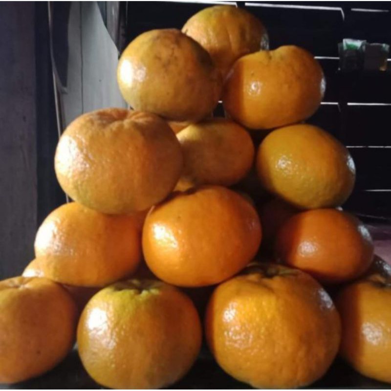 

Jeruk Gerga Super (Kerinci)