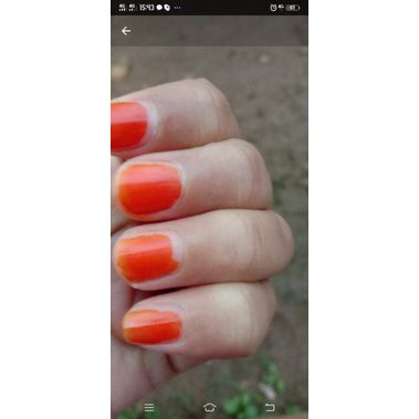 Henna Tarim - Henna Serbuk Kemasan 4gr Ori