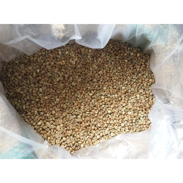 

green bean kopi robusta flores STOK TERBATAS