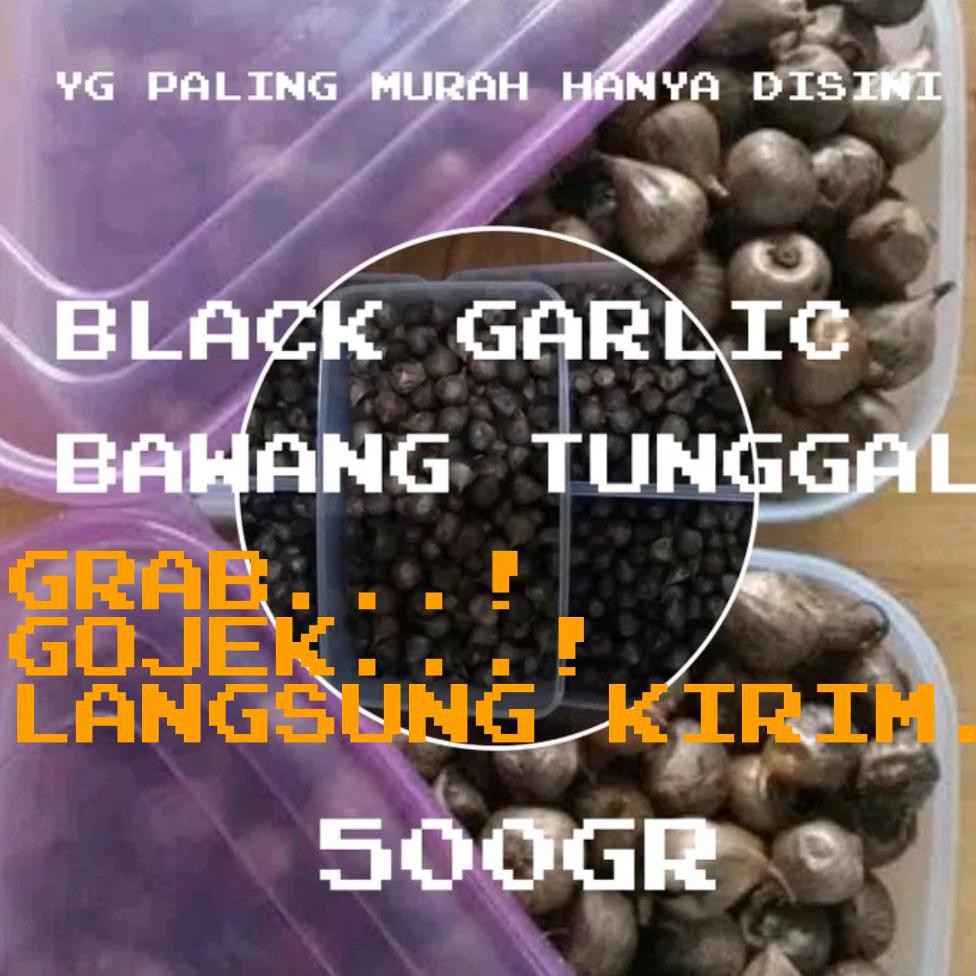 

Hot! Bawang Putih Hitam Tunggal-Siung Lanang Jantan-Black Garlic 500Gr