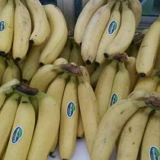 

PISANG CAVENDISH SUNPRIDE 1KG