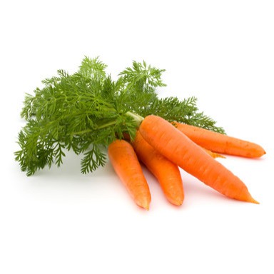 paket super hemat harga seribuan biji benih sayur selada paprika tomat bayam dll-wortel 20