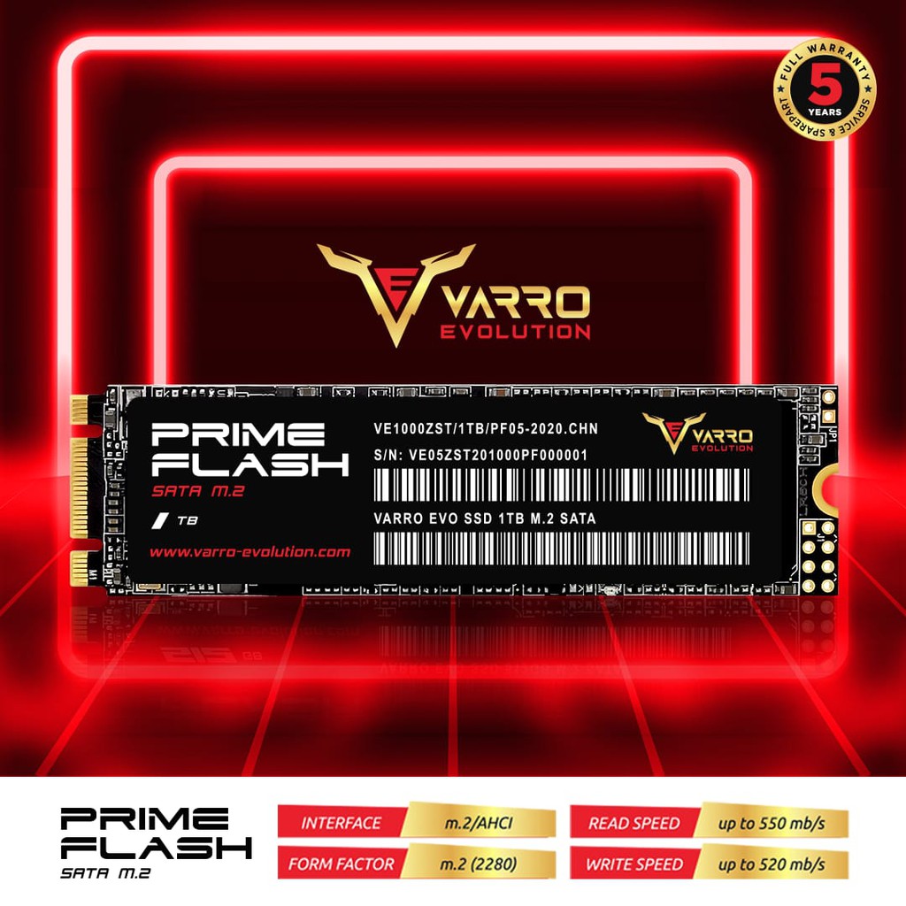 SSD VARRO M2 1TB PRIME 5 TAHUN GARANSI