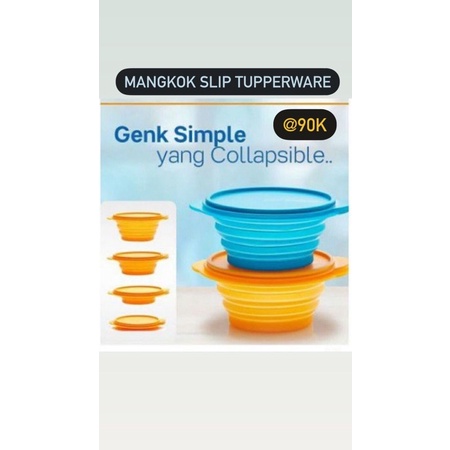 Goflex Tupperware