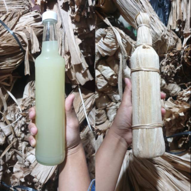 

Madu Putih Tradisional Sumbawa