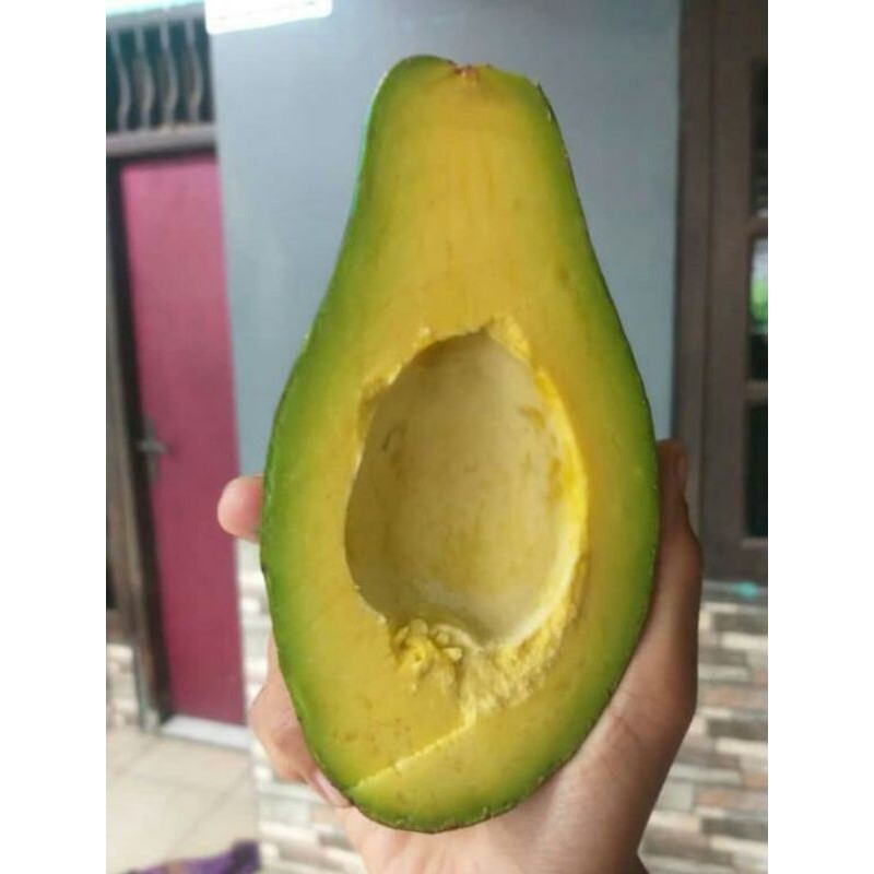 

ALPUKAT MENTEGA