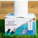 Automatic water dispenser
