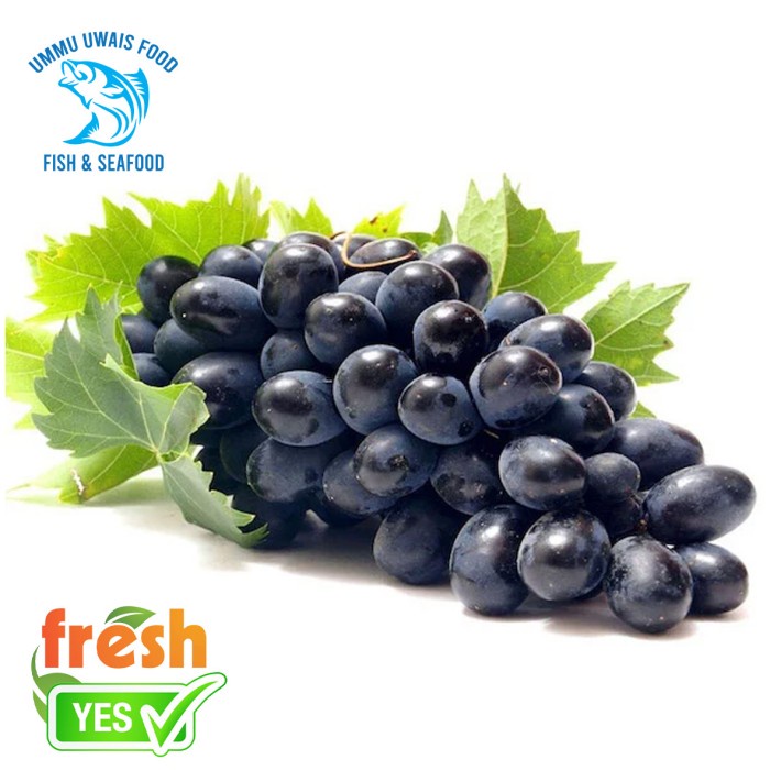 

Buah Anggur Hitam Segar Berkualitas - 500 Gram