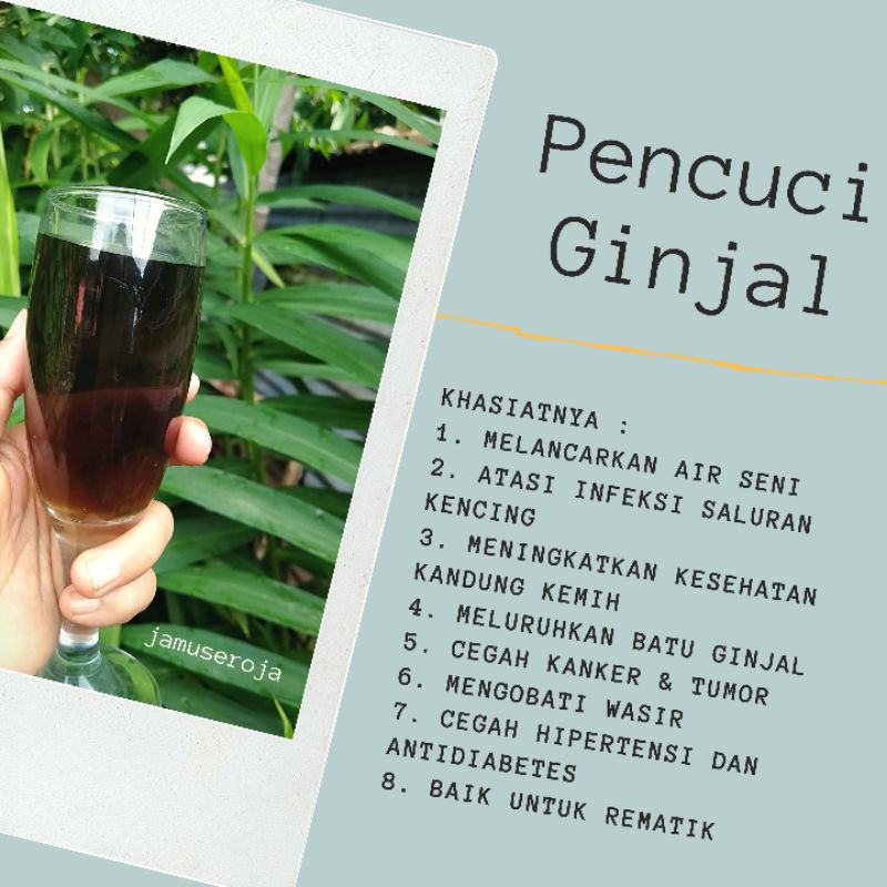 

Pencuci Ginjal dan Infeksi Saluran Kencing