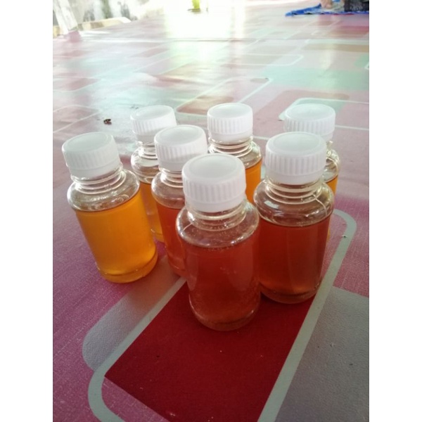 

Madu Kelulut/Linoet/Trigona/Klanceng Murni