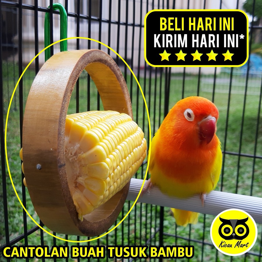 GANTUNGAN BUAH BAMBU TUSUK CANTOLAN SAYUR JAGUNG PISANG APEL JERUK TIMUN PAKAN MAKAN BURUNG GBAMBU