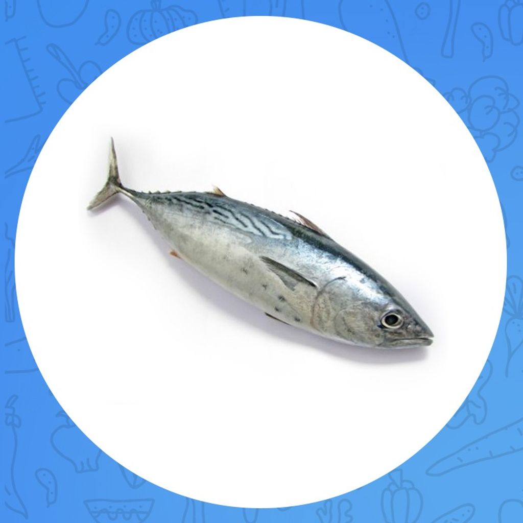 

TUNA 1,000 gr
