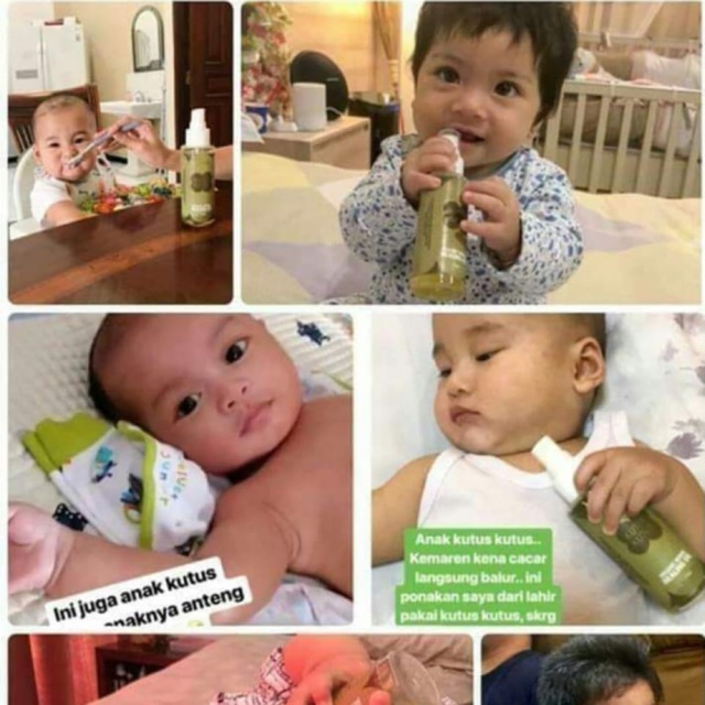 MINYAK KUTUS KUTUS SAHABAT BAYI