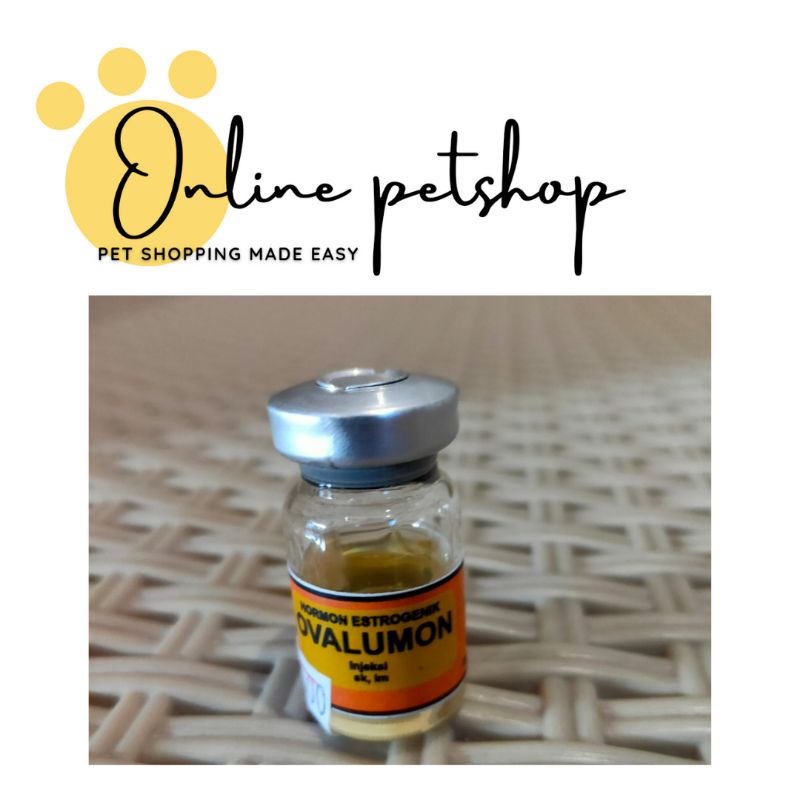 Ovalumon Injeksi 5 ml penambah birahi untuk hewan peliharaan (betina)